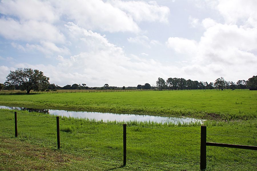 3375 Anderson Rd, Mulberry, FL 33860